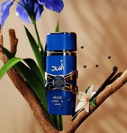 Lattafa Asad Zanzibar EDP 100ml